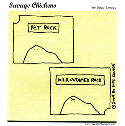 Savage Chickens - Rocks
