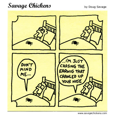 earwig cartoon