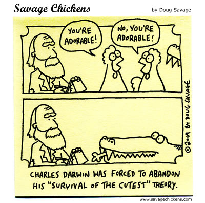 Savage Chickens - Survival