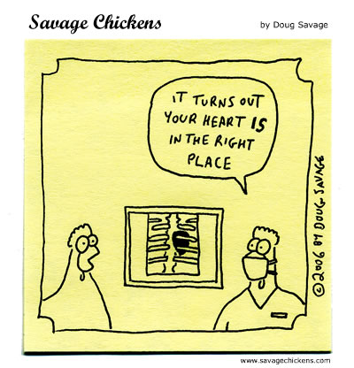 Savage Chickens - X-ray