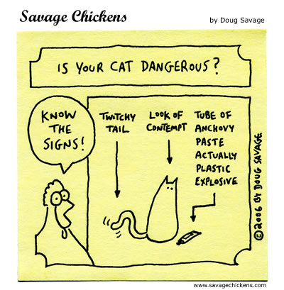 Savage Chickens - Dangerous Cat