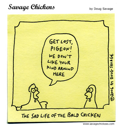 Savage Chickens - Pigeon